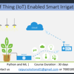 Internet of Thing (IoT) Enabled Smart Irrigation System